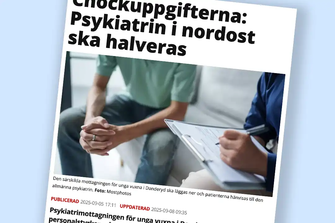En skärmdump på en artikel från Mitti